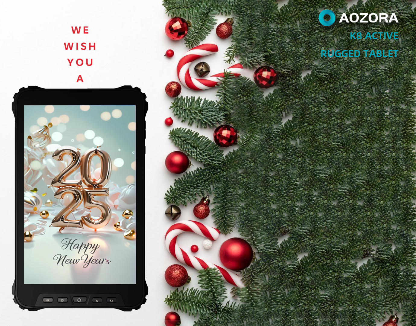 welcome 2025-AOZORA Wireless