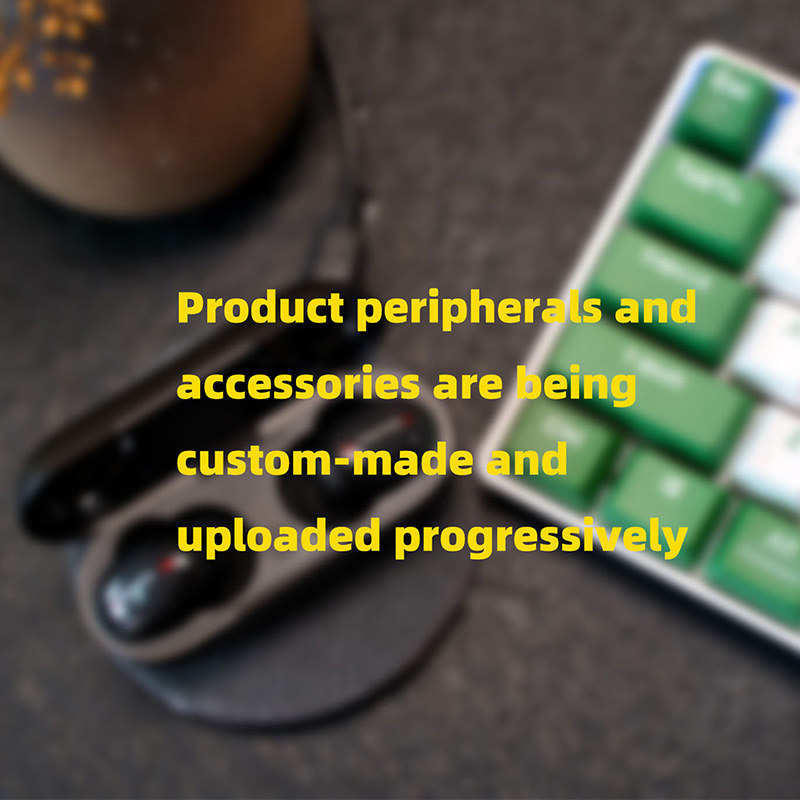 Electronic Accessories